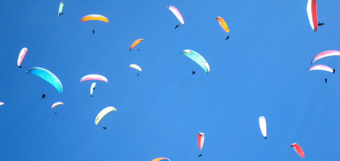 Paraglider Gaggle